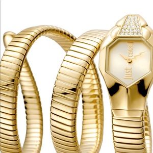 Just cavali watch brand new